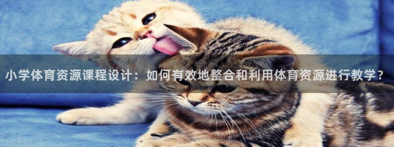 betway西汉姆联：小学体育资源课程设计：如何有效地整合和利用体育资源进行教学？