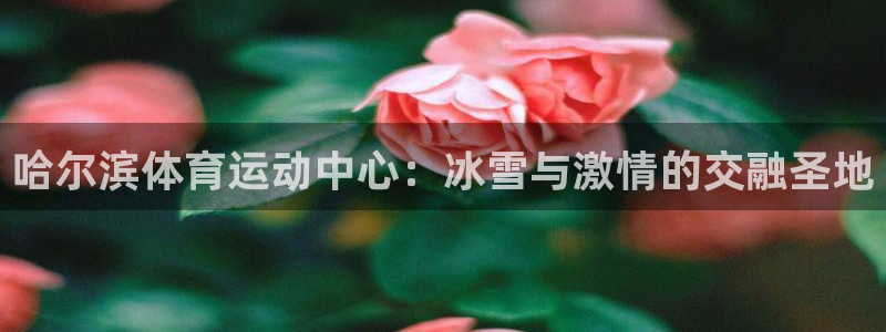 betway西汉姆联：哈尔滨体育运动中心：冰雪与激情的交融圣地