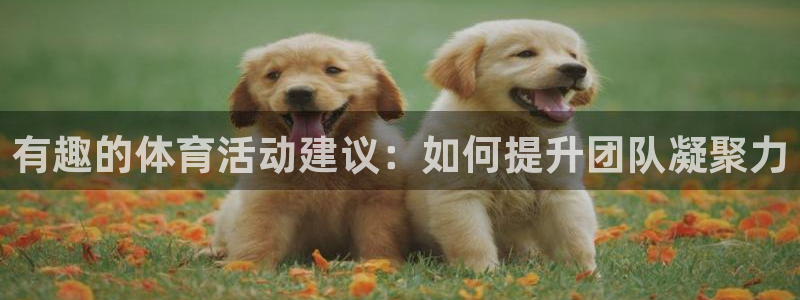 必威betway西汉姆联：有趣的体育活动建议：如何提升团队凝聚力