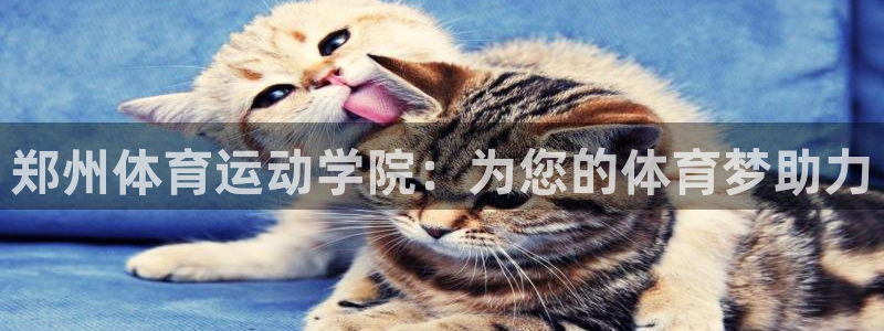 betway西汉姆联官网：郑州体育运动学院：为您的体育梦助力