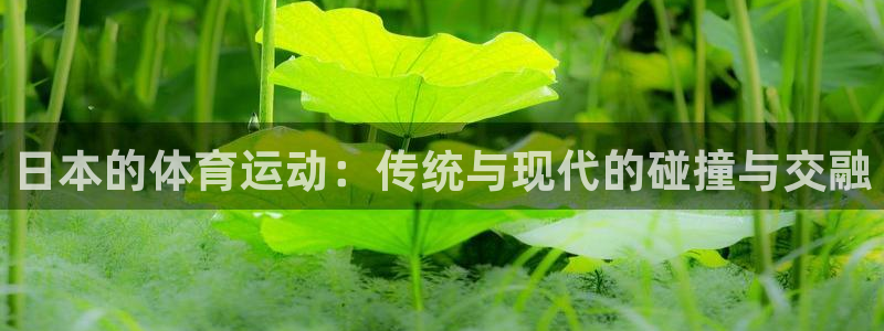 betway西汉姆联官网：日本的体育运动：传统与现代的碰撞与交融