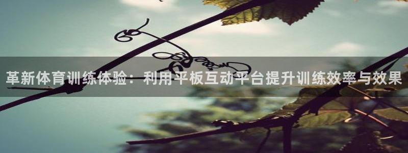 betway西汉姆：革新体育训练体验：利用平板互动平台提升训练效率与效果