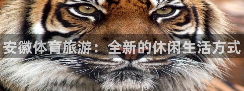 betway西汉姆官网：安徽体育旅游：全新的休闲生活方式