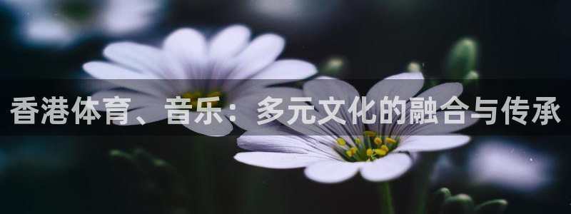 betway西汉姆联官网：香港体育、音乐：多元文化的融合与传承
