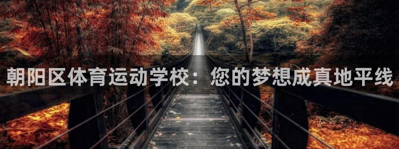 必威betway西汉姆联：朝阳区体育运动学校：您的梦想成真地平线